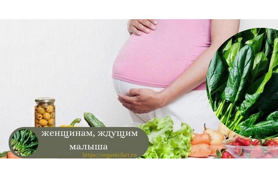 шпинат для беременных женщин