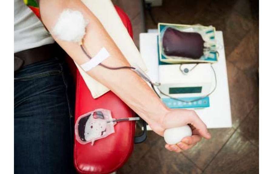 Где узнать группы крови: свою и ребенка, бесплатные способы и экспресс-методика