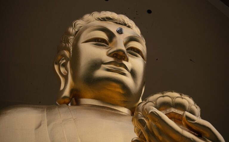 buddha quotes about happiness