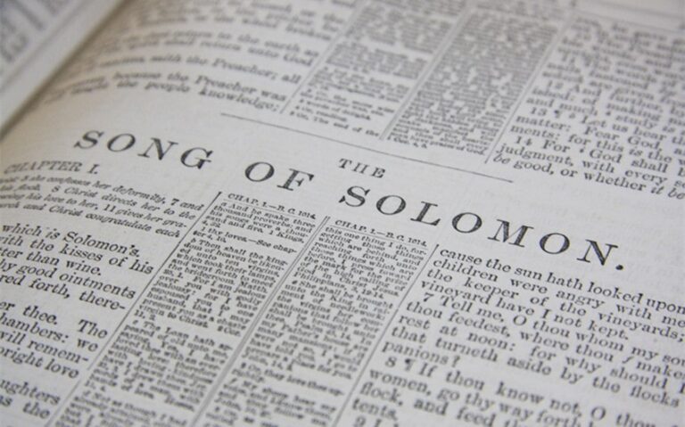 song of solomon verses for wife